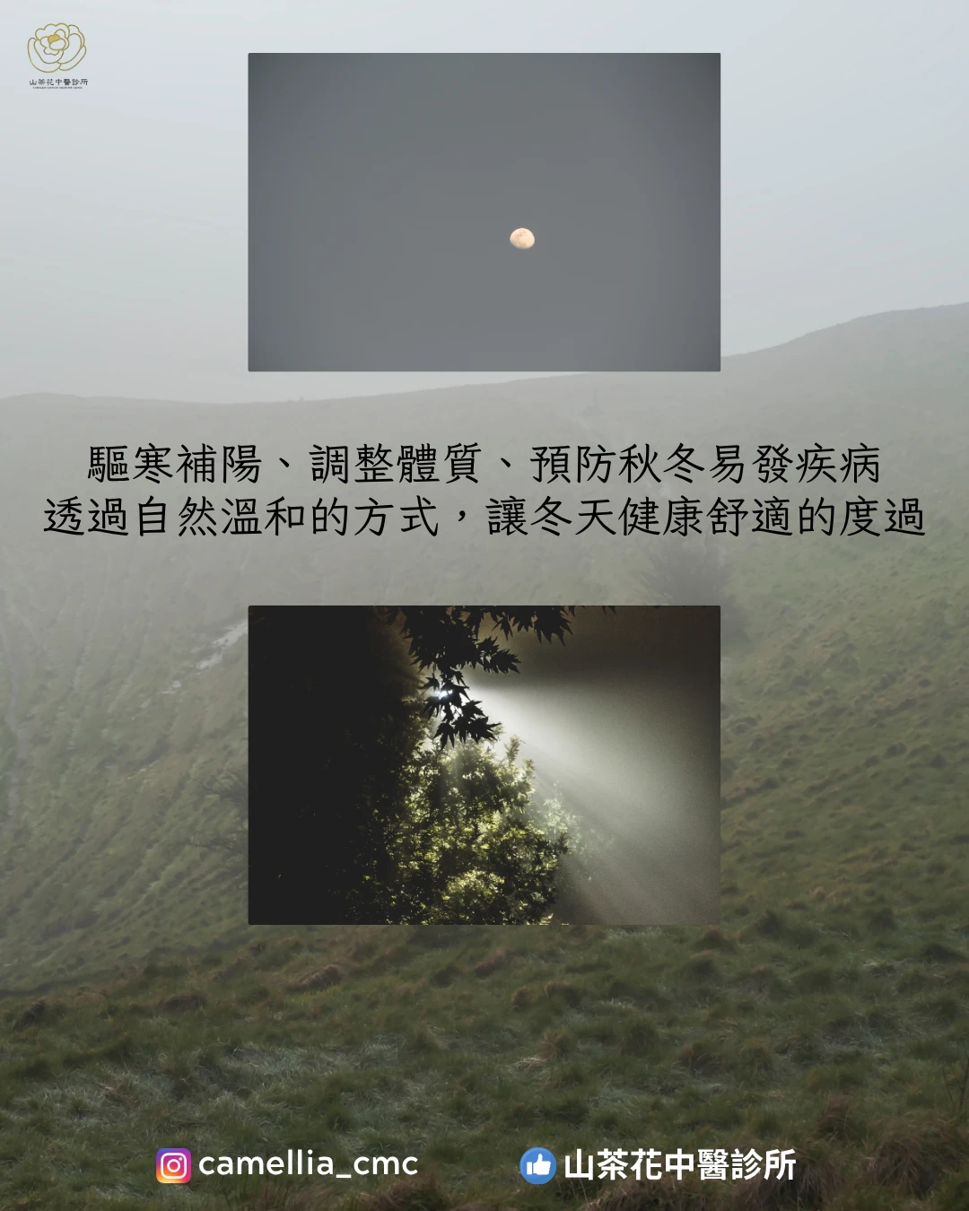 三伏貼