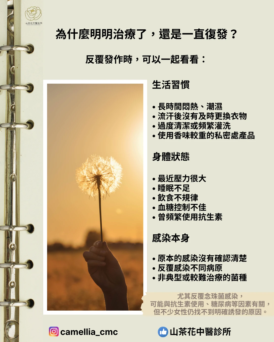 陰道炎一直反覆， 到底是哪裡出問題？