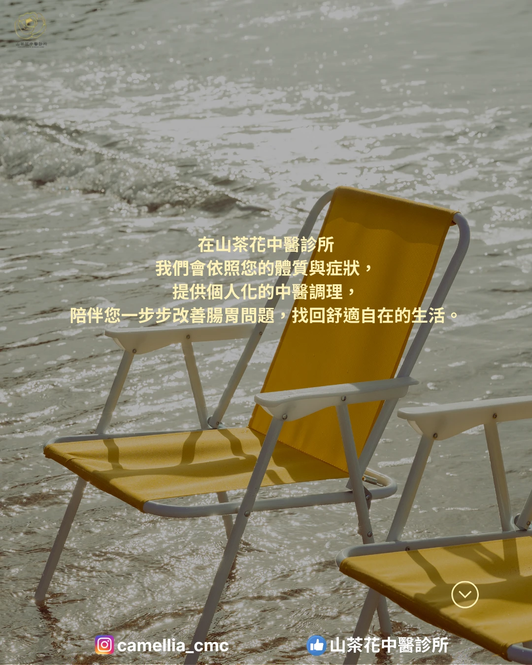 腸胃總是不舒服？中醫帶您找回健康的消化力