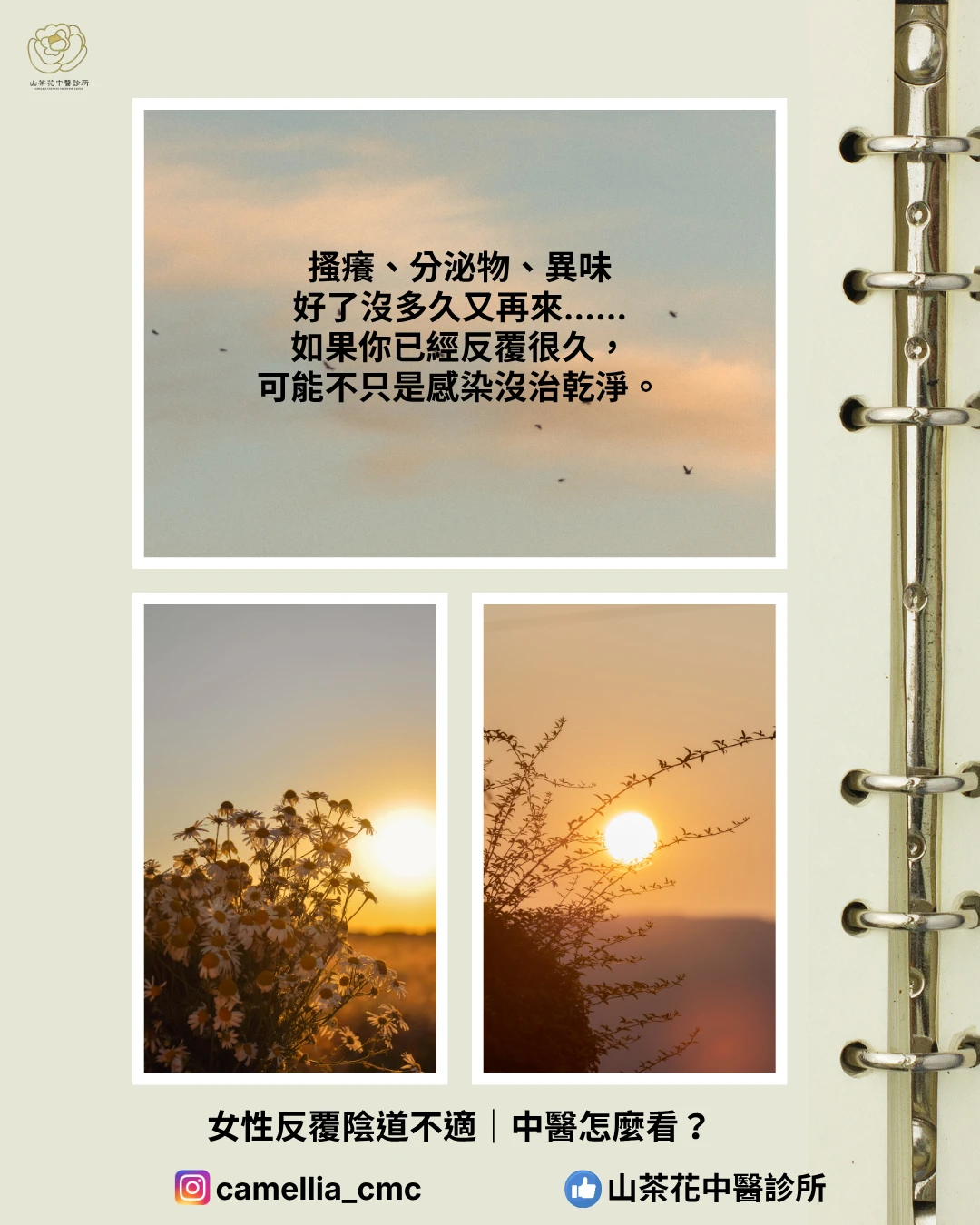 陰道炎一直反覆， 到底是哪裡出問題？