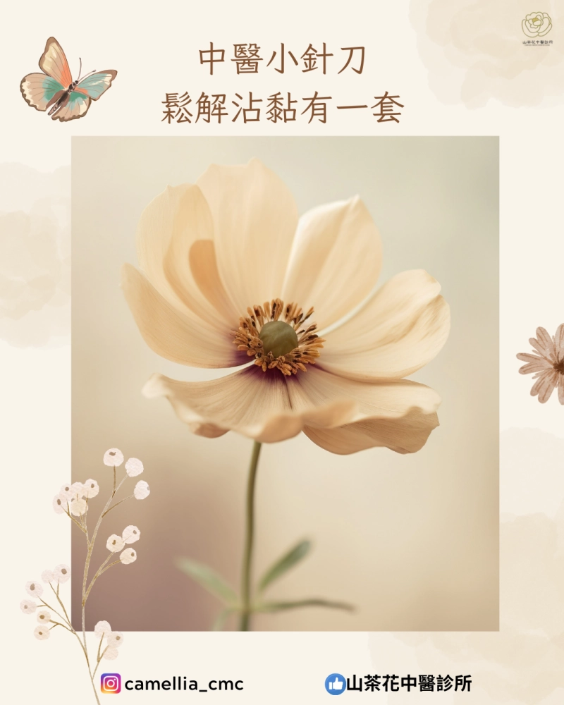 中醫小針刀 鬆解沾黏有一套