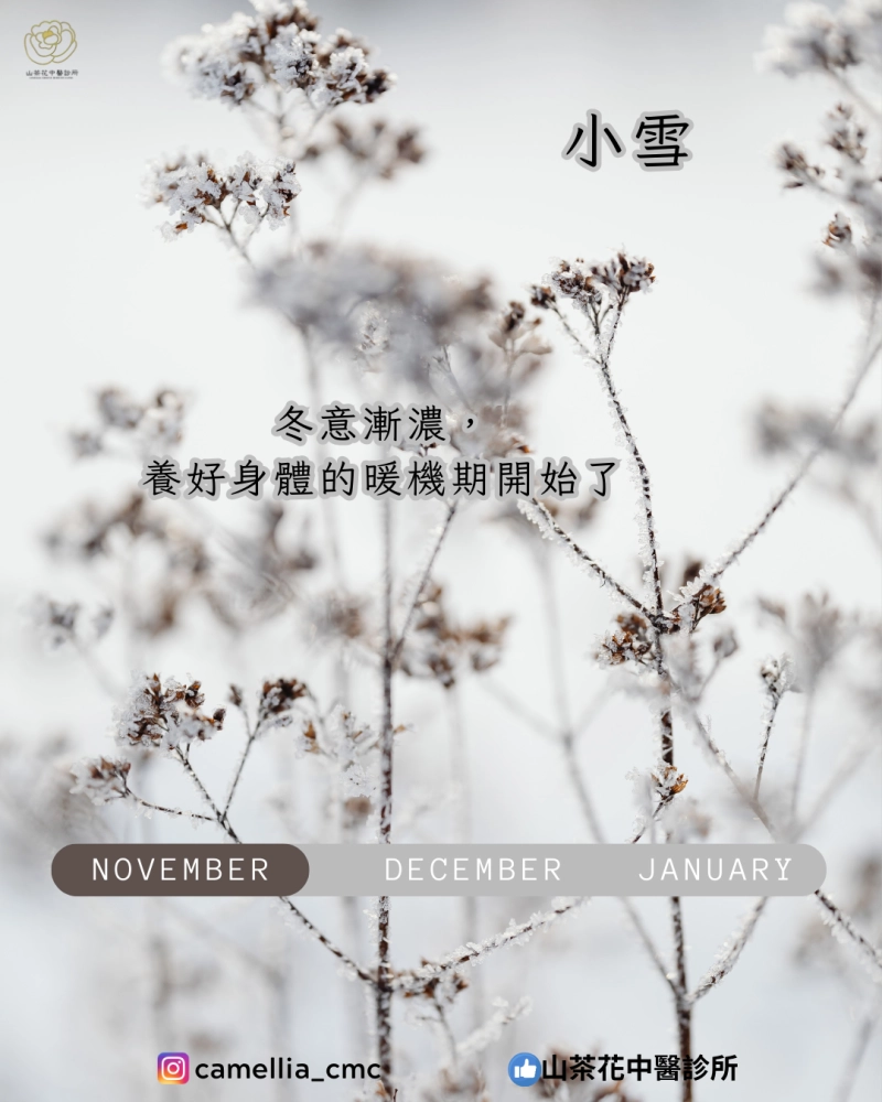 小雪 冬意漸濃，養好身體的暖機期開始了