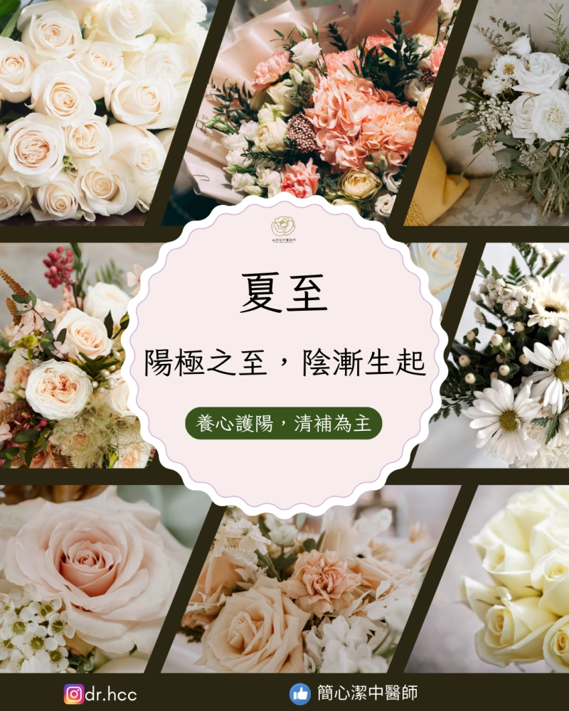 夏至 陽極之至，陰漸生起