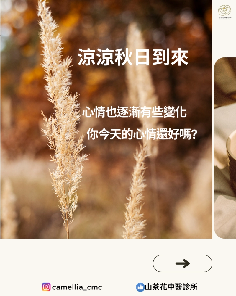 涼涼秋日到來，心情也逐漸有些變化