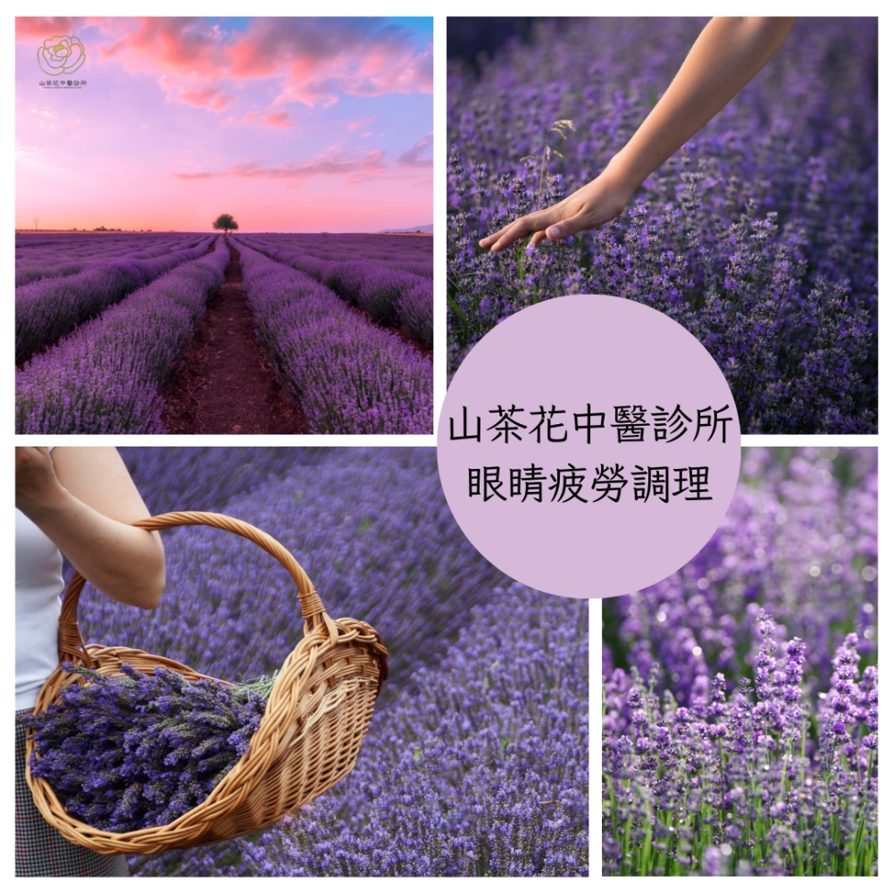 長時間使用手機、電腦， 是不是常常出現： 眼睛乾澀、紅腫發癢 視線模糊、容易流淚 頭