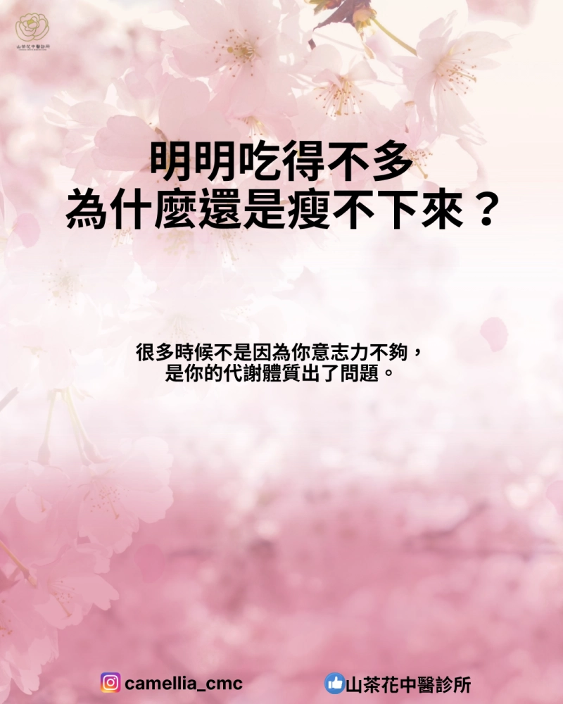 明明吃得不多  為什麼還是瘦不下來？