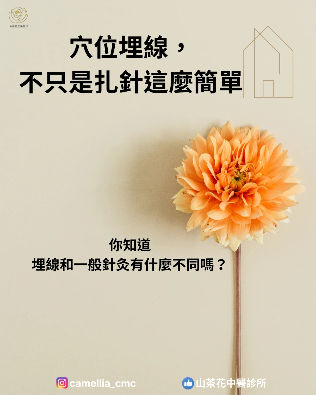 穴位埋線，不只是扎針這麼簡單