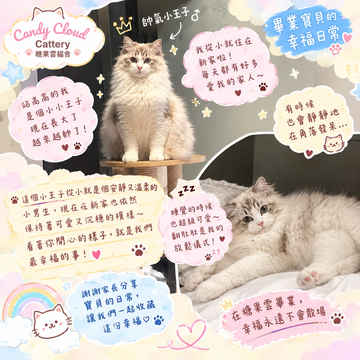 帥氣小王子