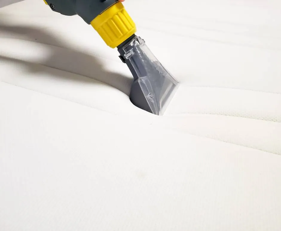 加大雙人床洗+除蟎