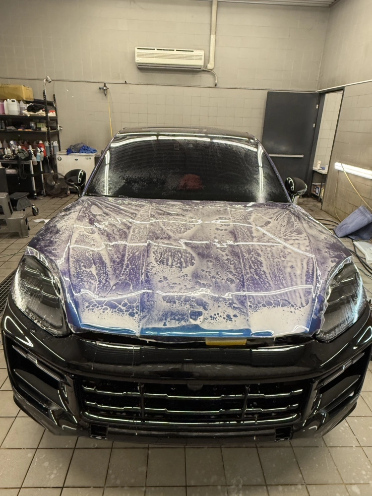 STEK變色龍 - Cayenne