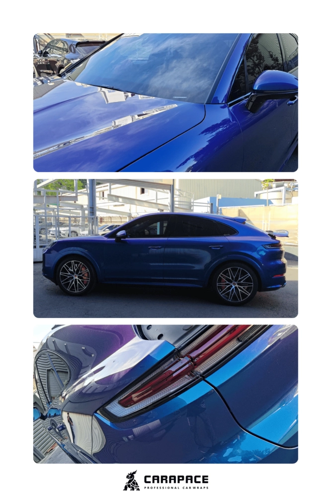 STEK變色龍 - Cayenne