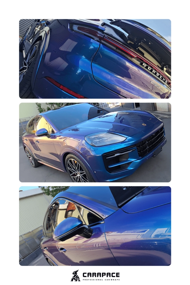 STEK變色龍 - Cayenne