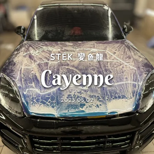 STEK變色龍 - Cayenne