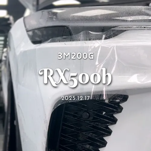 【3M】200G - RX500h