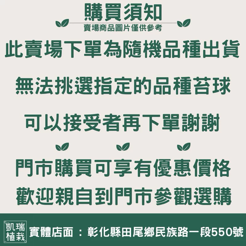凱瑞植栽-綠色水草苔球 隨機款式出貨-特價 幫你挑 驚喜包 配到好 手作 苔球 療癒 凱瑞植栽