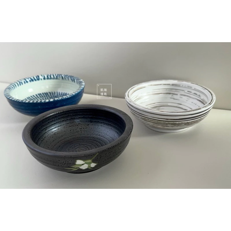 日式風淺缽-苔球盤 苔球碟 底盤 盆器 療癒 凱瑞植栽