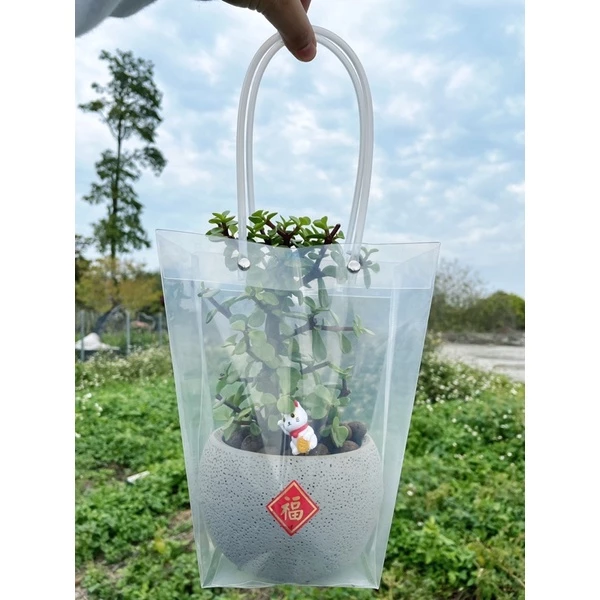 pvc透明提袋/窗口紙袋（不含植物、吊卡及裝飾小物）-苔球 盆栽 送禮 包裝 開幕誌慶 禮物 凱瑞植栽
