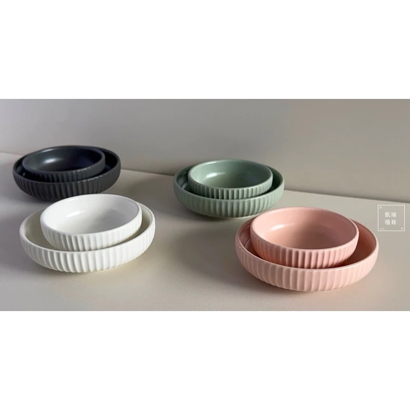 馬卡龍色系碟 苔球盤 底盤 手作 苔球 療癒 凱瑞植栽