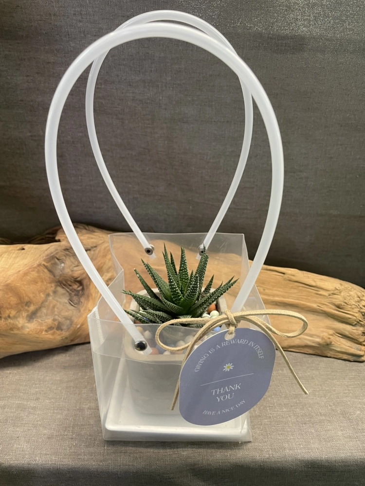 多肉盆栽禮盒-皆可客製化