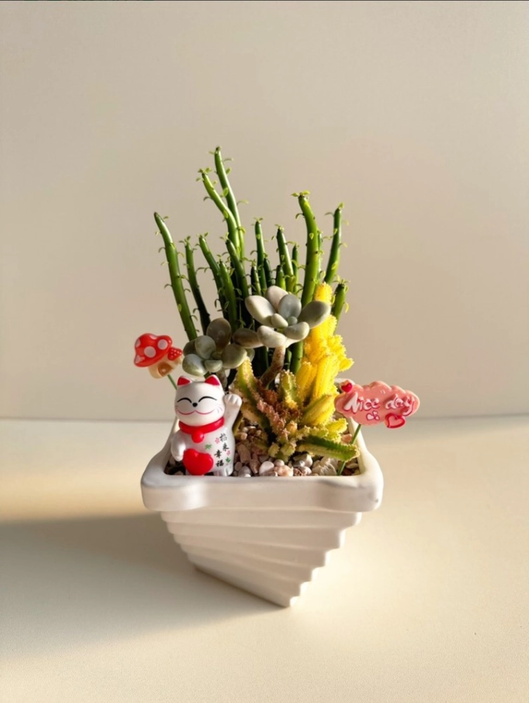 多肉組合盆栽課程