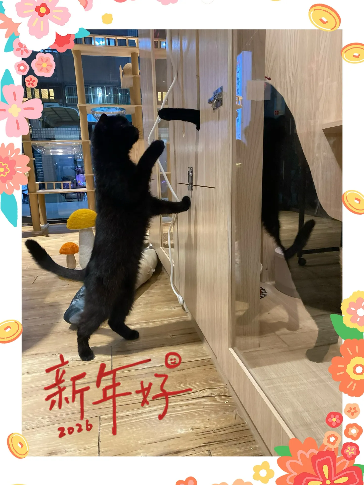 夜貓生活｜新春第二彈