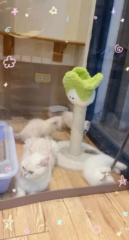 放暑假的媽媽 be like：