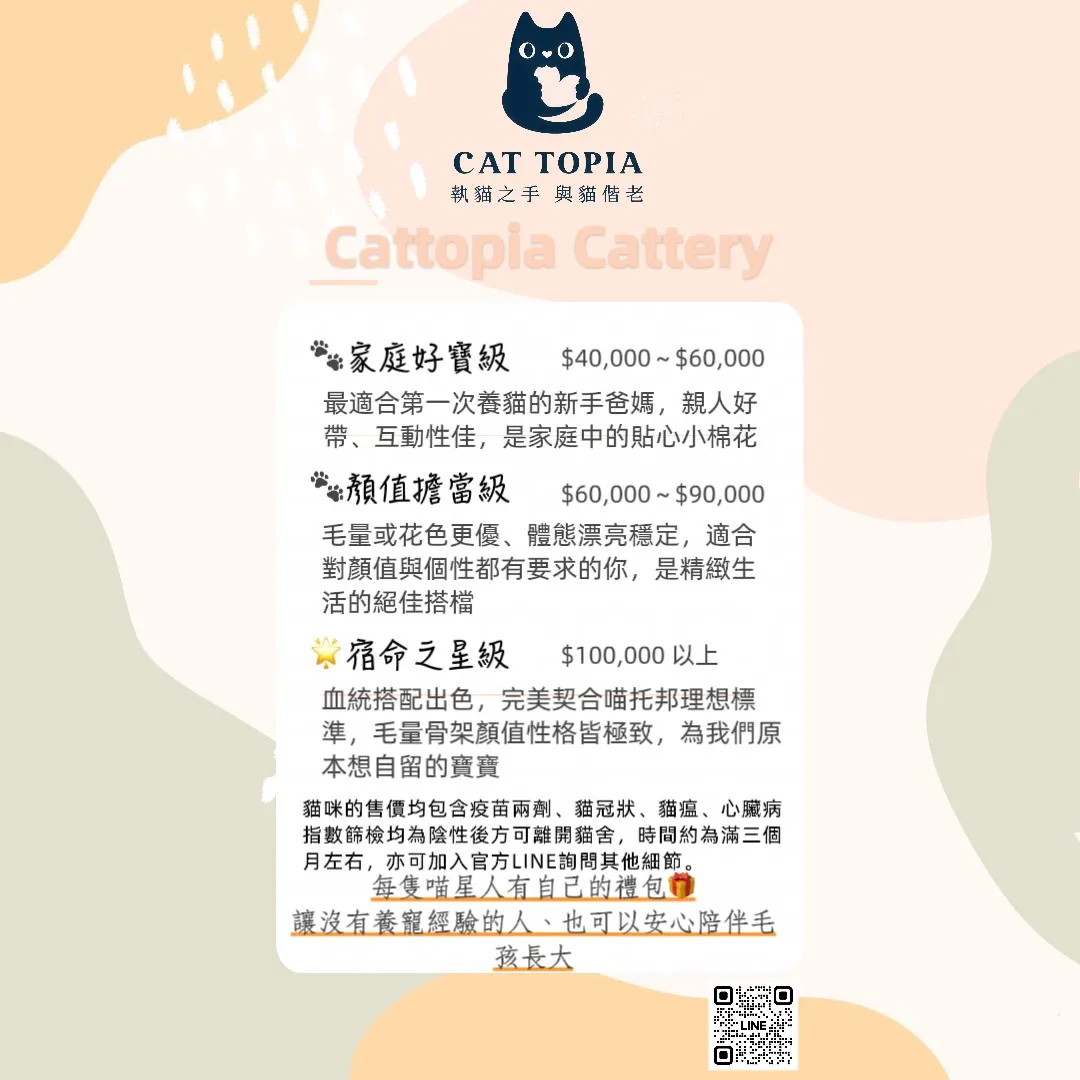 貓咪價目表
