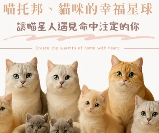 貓咪需要刷牙嗎？