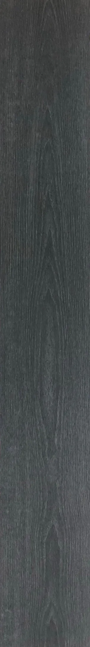 歐美橡P16
