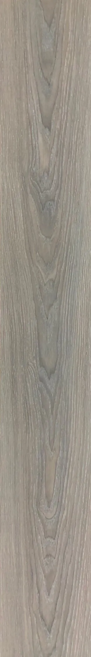 歐美橡D4