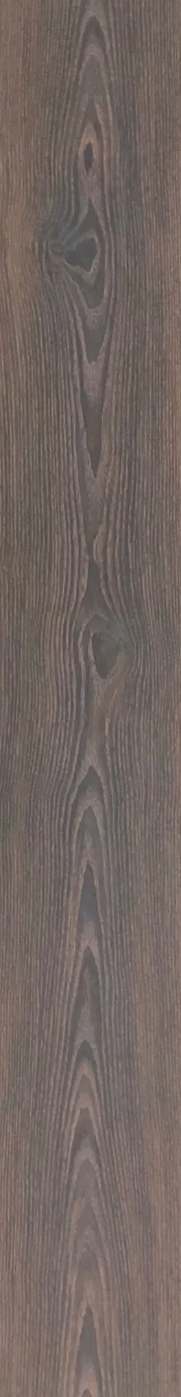 歐美橡C3