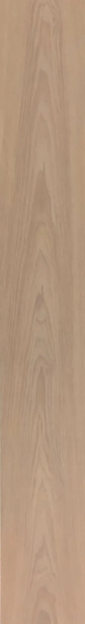 歐美橡B2