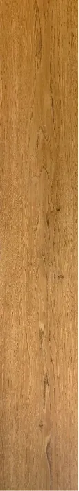 紅橡