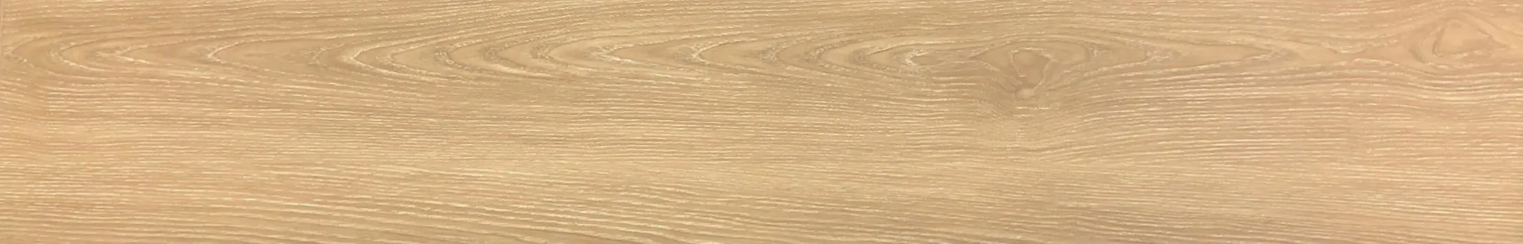 林肯