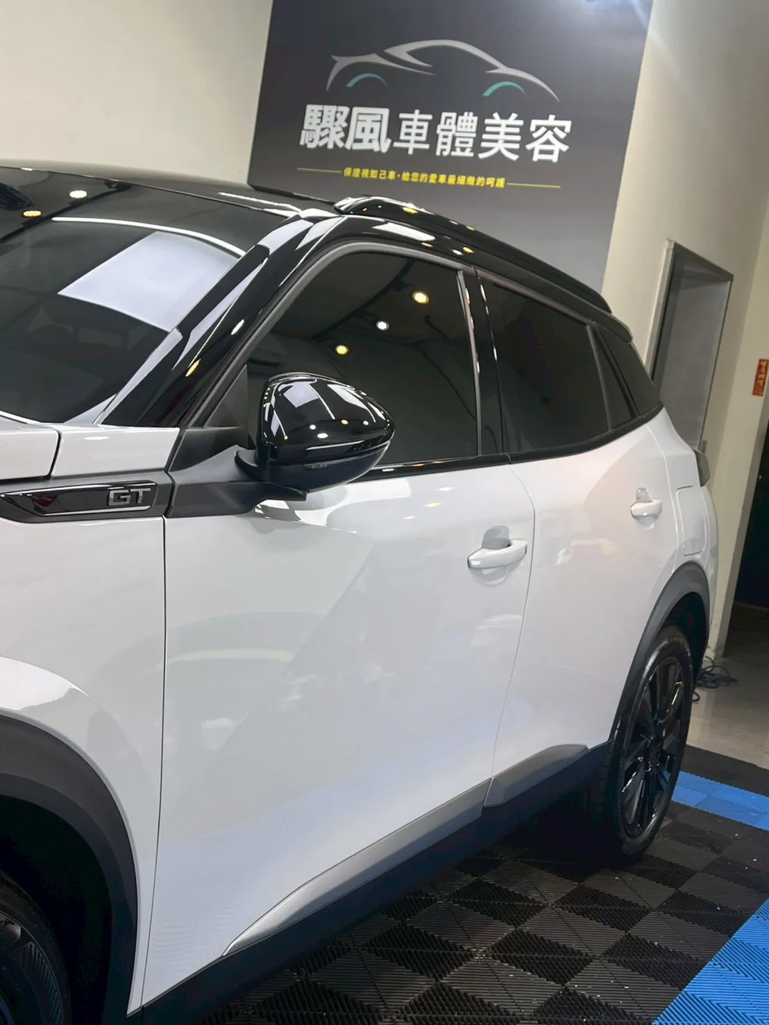 PEUGEOT 汽車案例