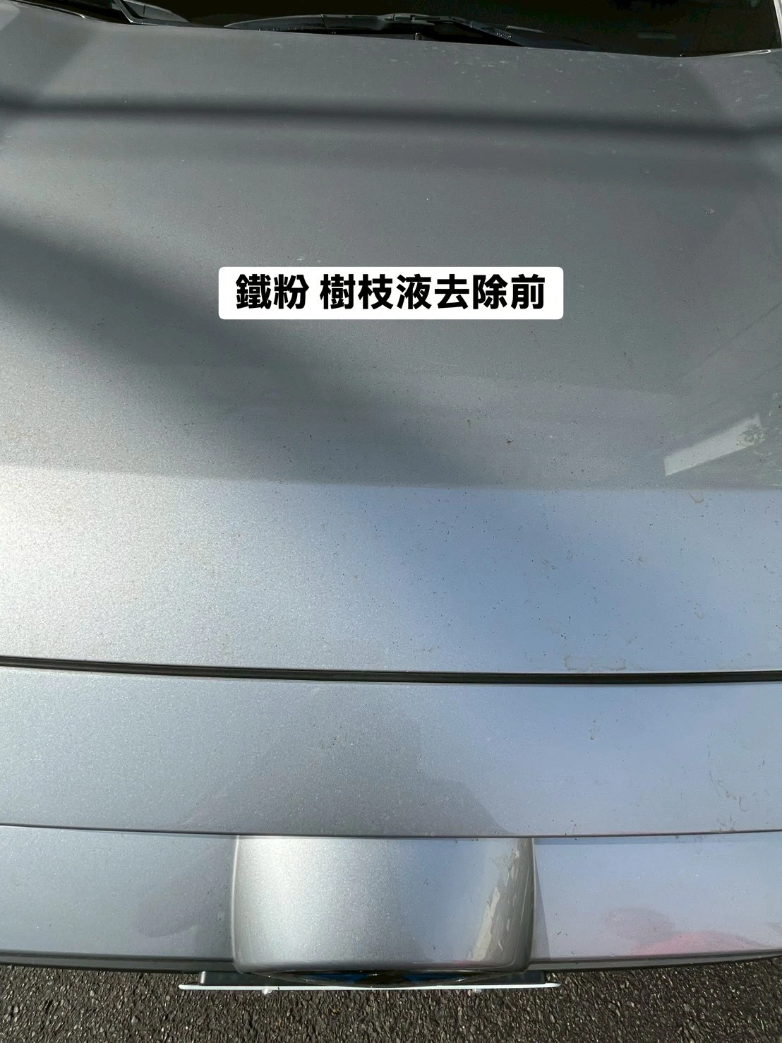 toyota 汽車案例｜全車 鐵粉 樹枝液去除，頂級洗車