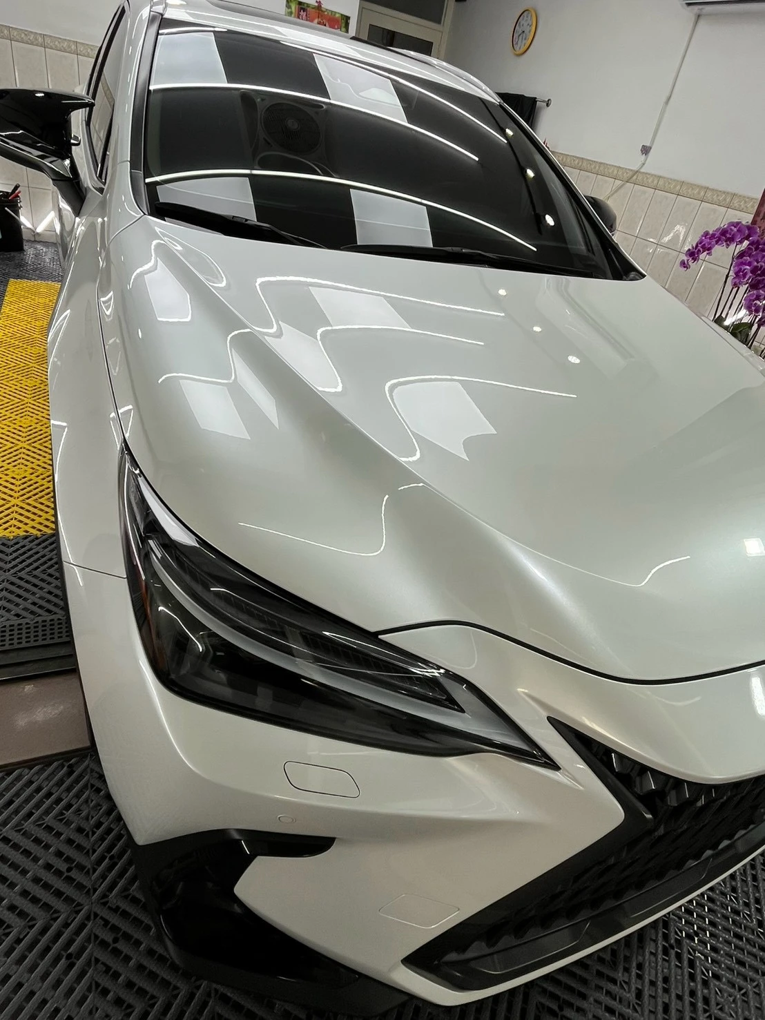 Lexus 汽車案例