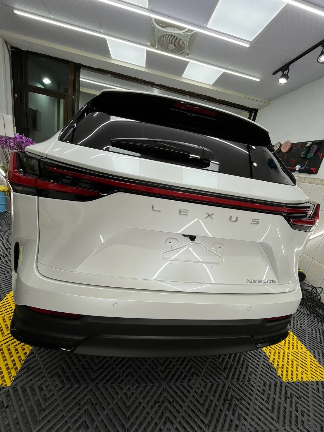 Lexus 汽車案例