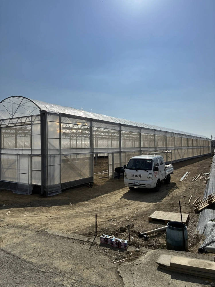 力霸型溫室