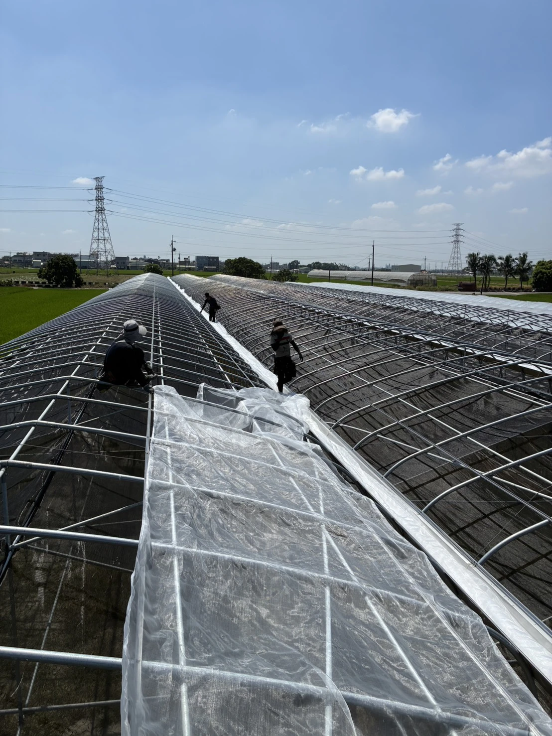 簡易型溫室<br>電動內遮陰<br>電動捲揚式天窗