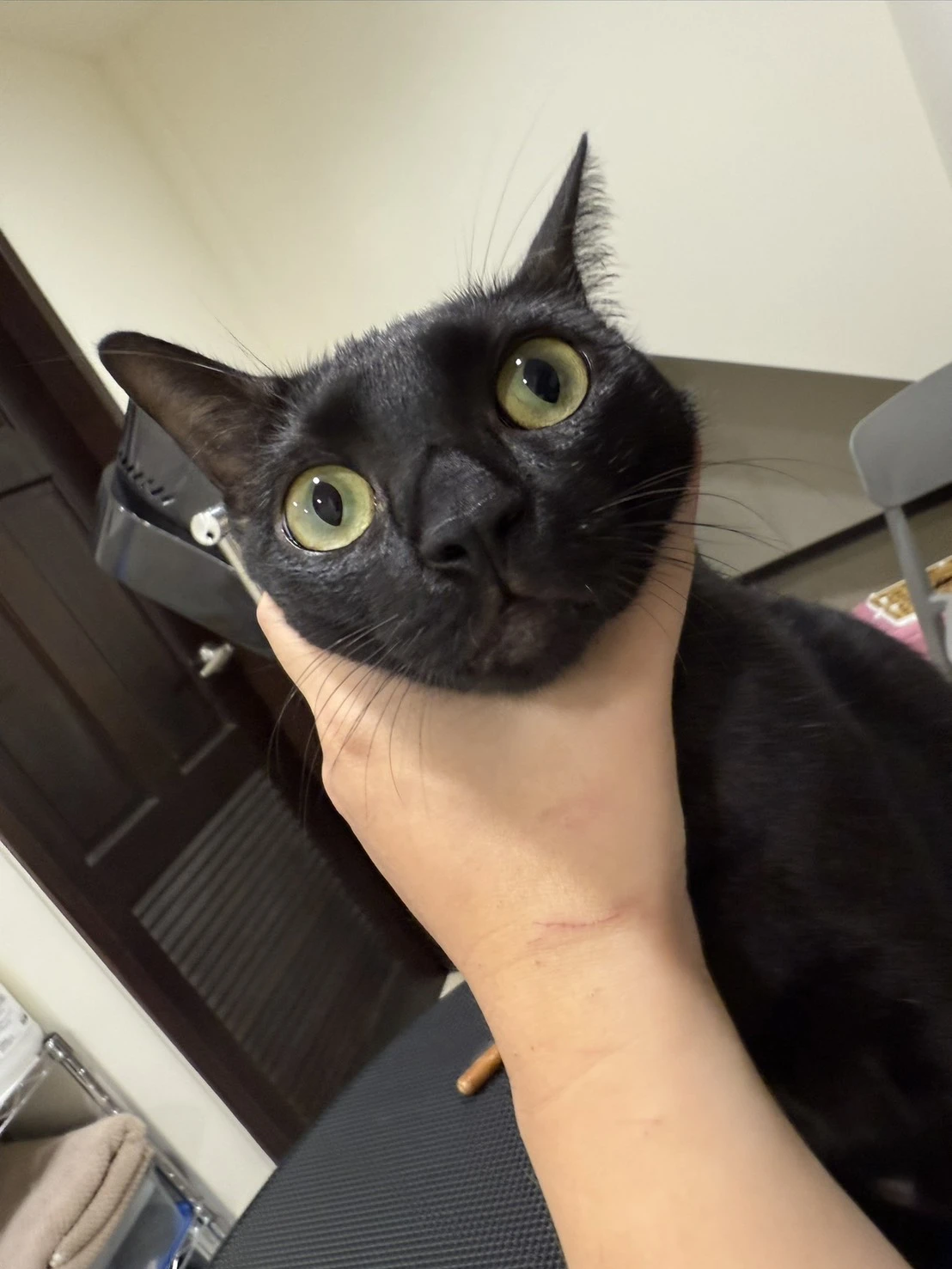 暈仔