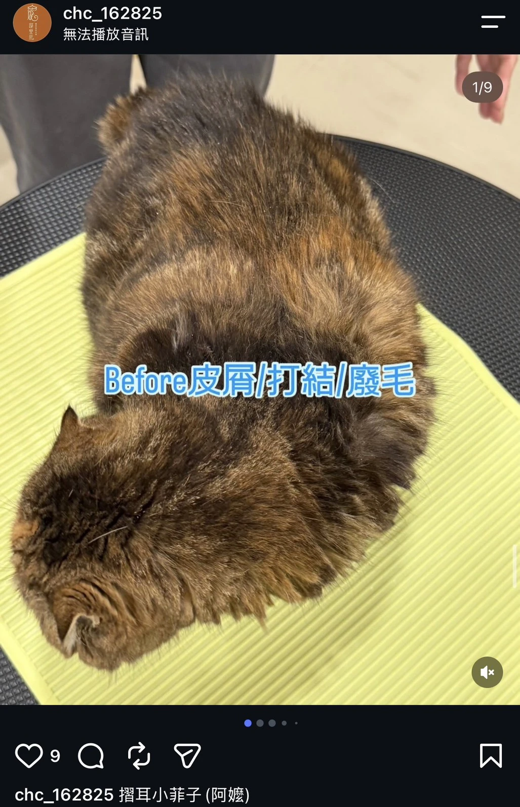 小菲子
