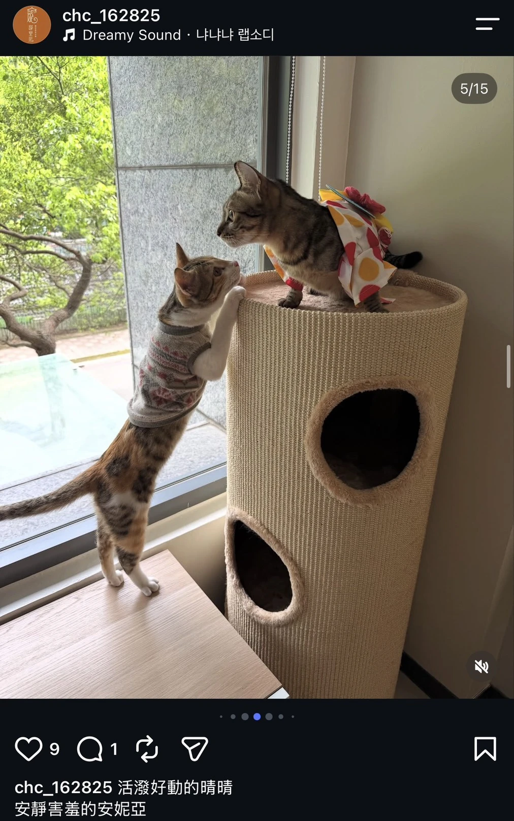 安妮亞&晴晴