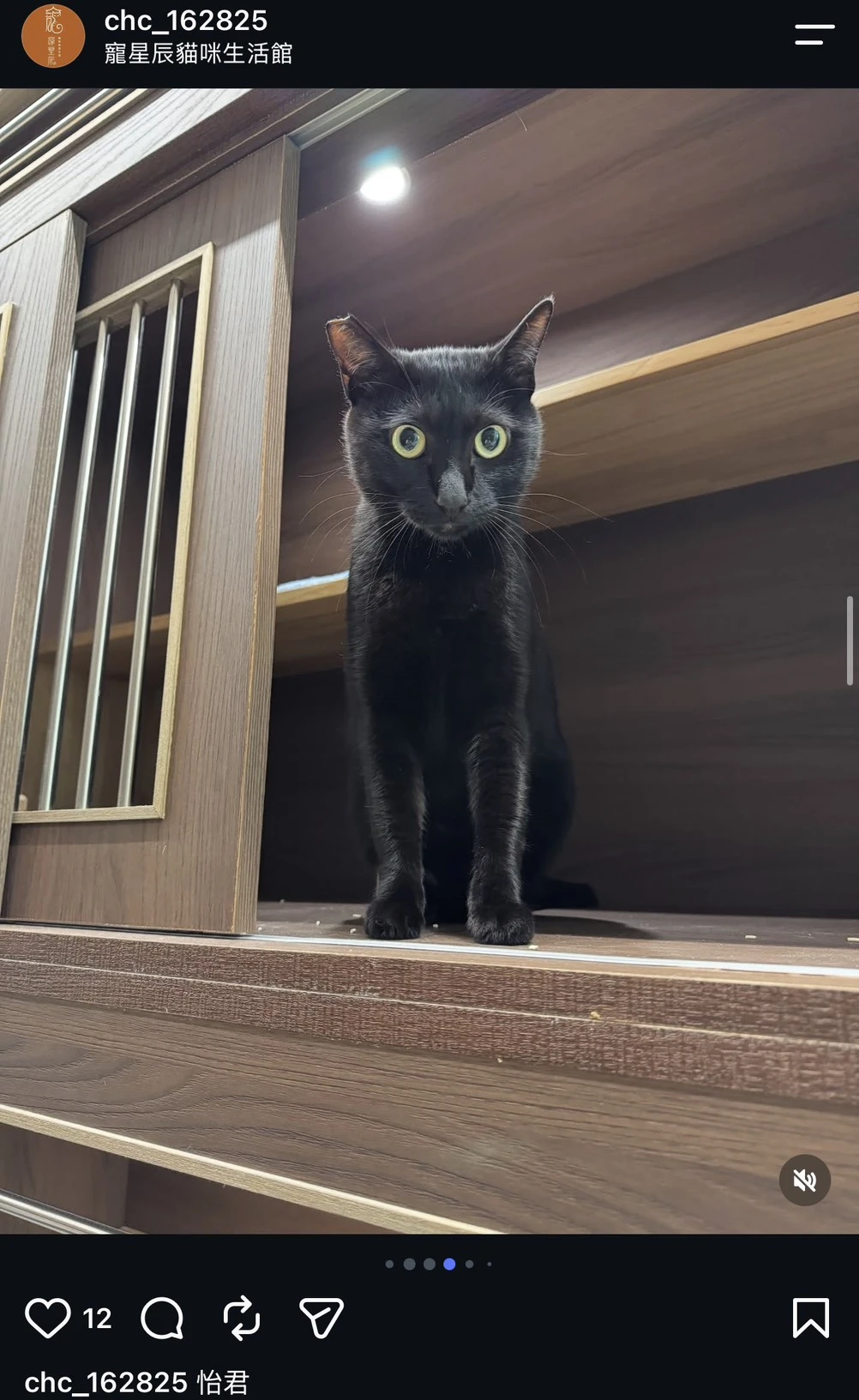 怡君