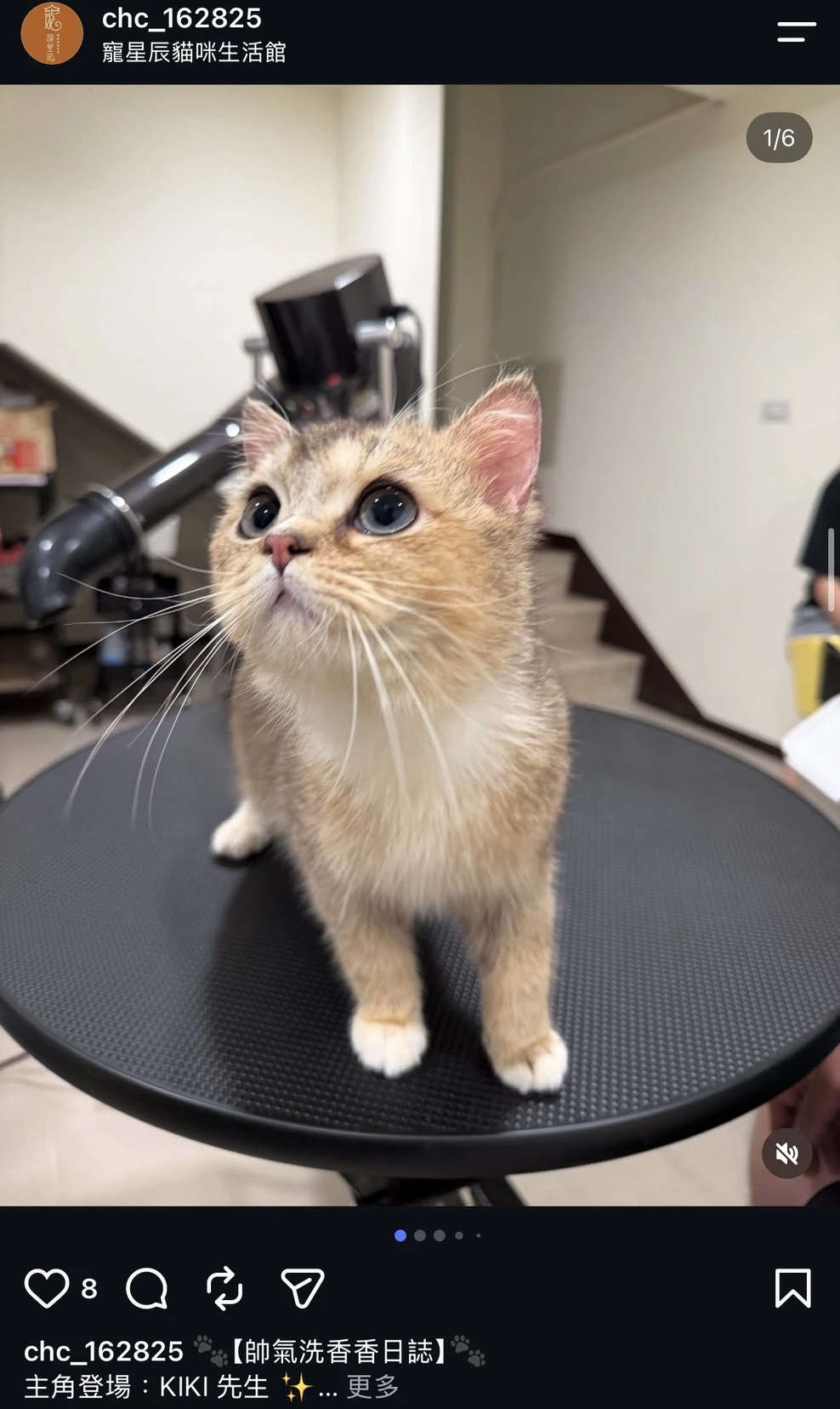 KIKI