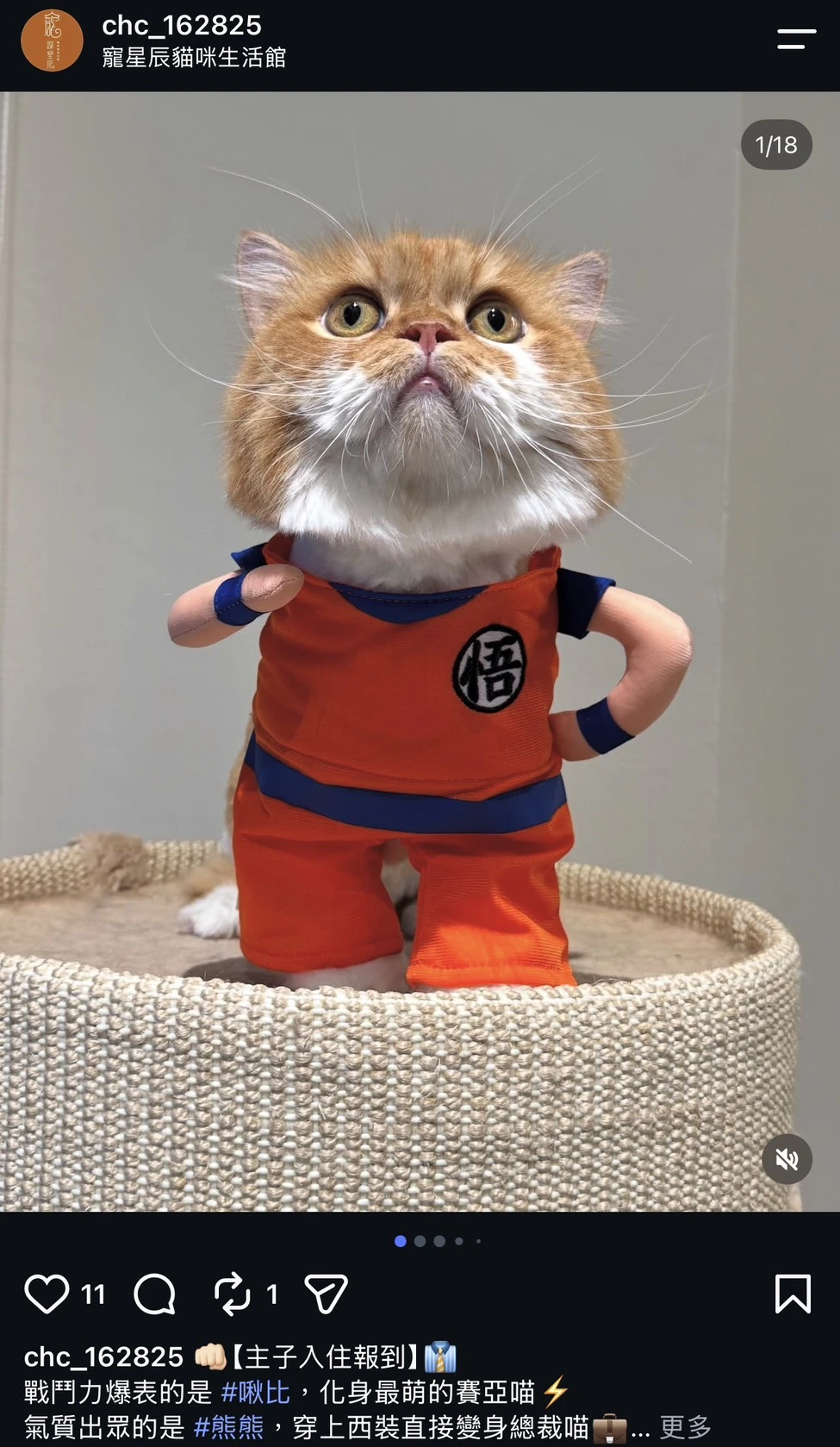 熊熊&啾比