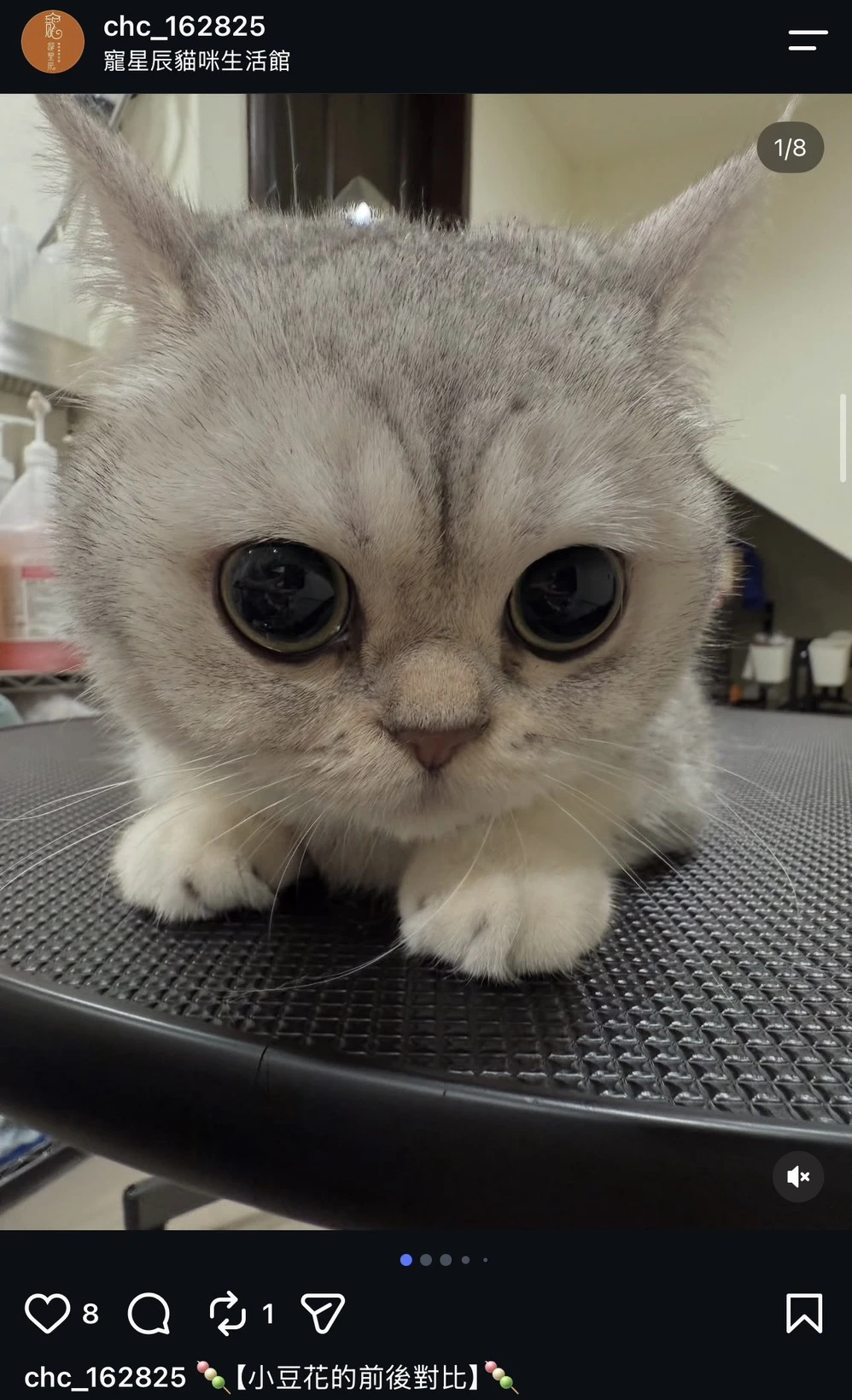 小豆花