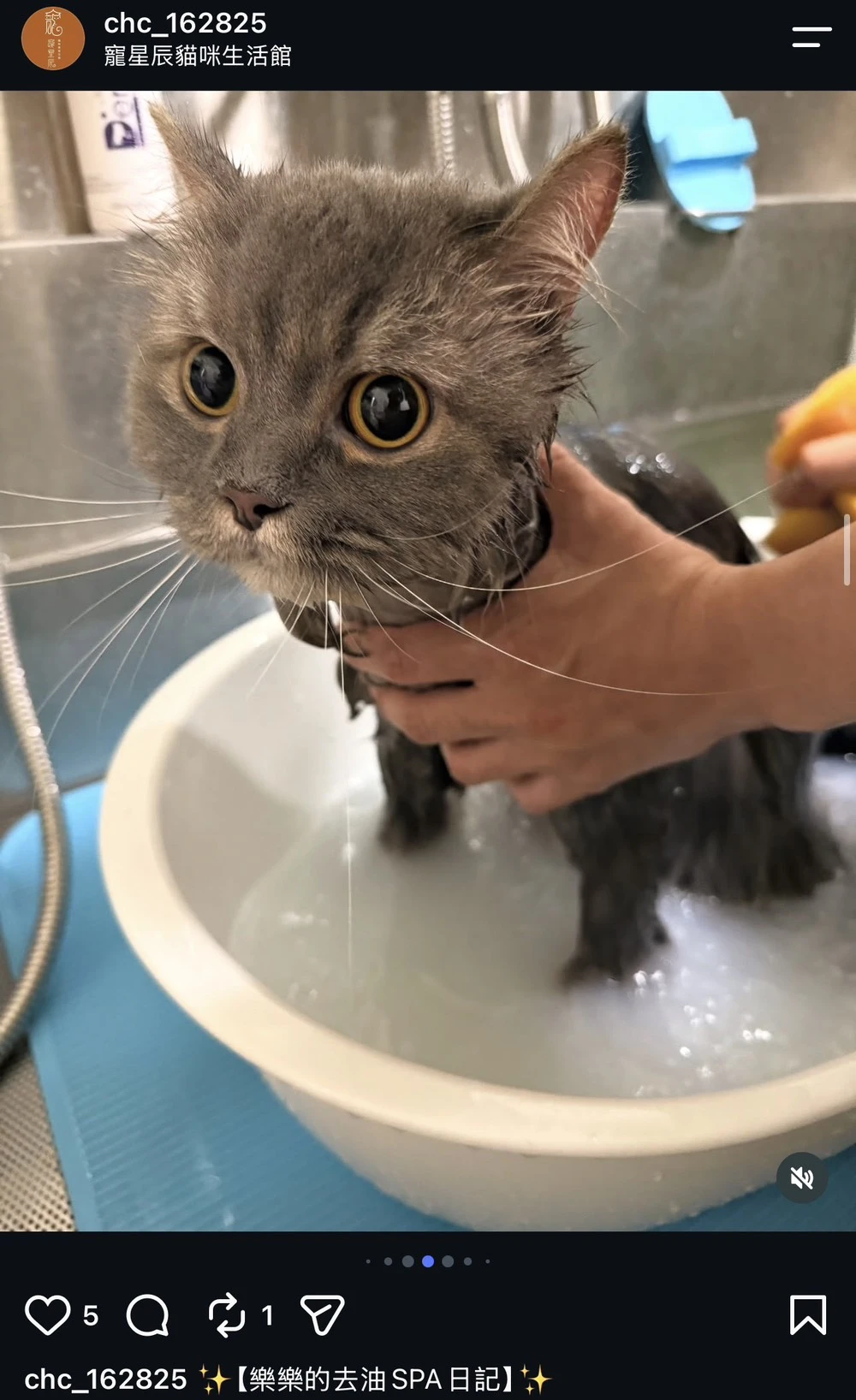 樂樂