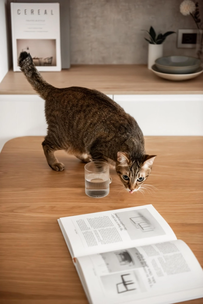 新北市｜住宅CY