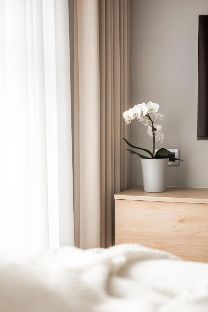 新北市｜住宅CY